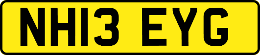 NH13EYG