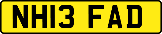 NH13FAD