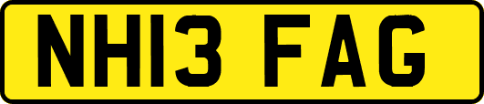NH13FAG