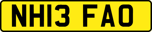 NH13FAO