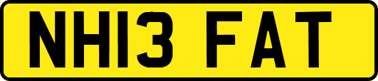 NH13FAT
