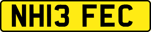 NH13FEC