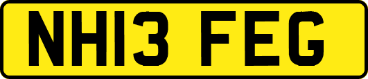 NH13FEG