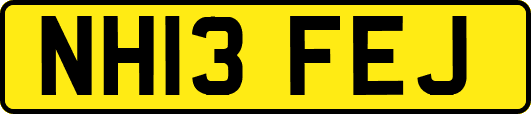 NH13FEJ