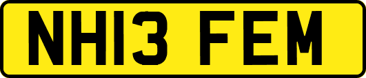 NH13FEM
