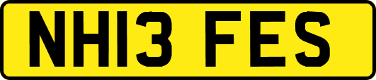 NH13FES