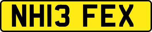 NH13FEX