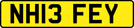 NH13FEY