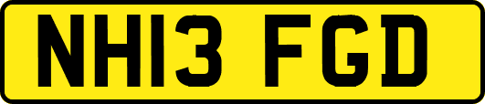 NH13FGD