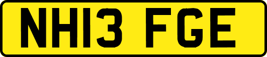NH13FGE
