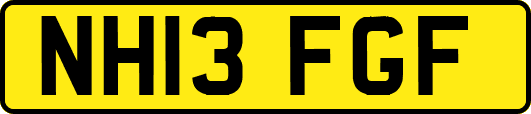 NH13FGF