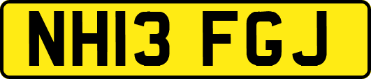 NH13FGJ