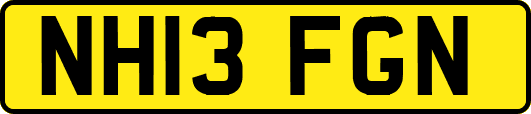 NH13FGN