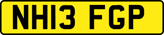 NH13FGP