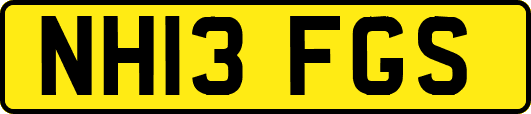 NH13FGS
