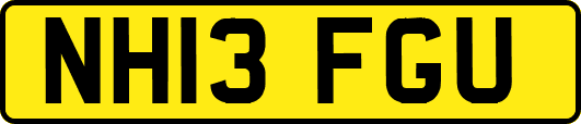 NH13FGU