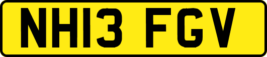 NH13FGV