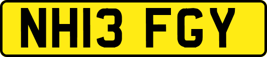 NH13FGY