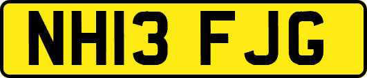NH13FJG