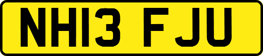 NH13FJU