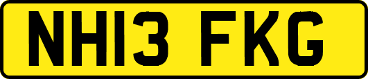 NH13FKG