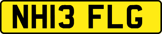 NH13FLG