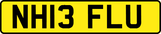 NH13FLU