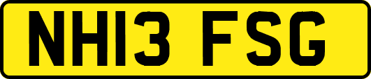 NH13FSG
