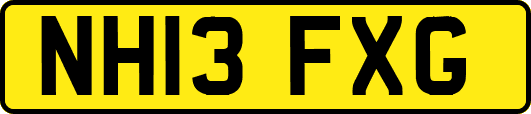NH13FXG