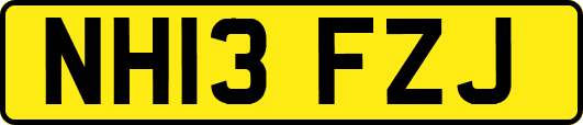 NH13FZJ