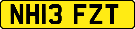 NH13FZT