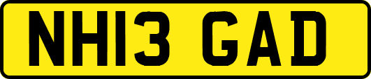 NH13GAD