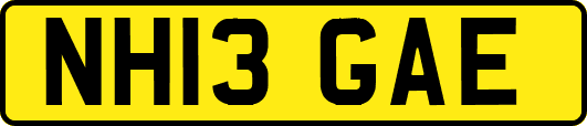 NH13GAE