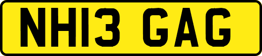 NH13GAG
