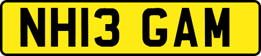 NH13GAM