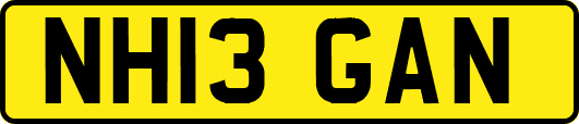 NH13GAN