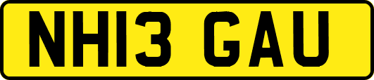 NH13GAU