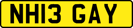 NH13GAY