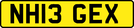 NH13GEX