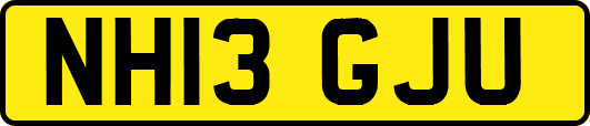 NH13GJU