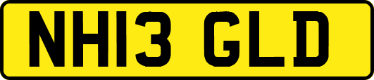 NH13GLD