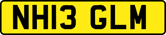 NH13GLM