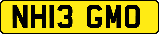 NH13GMO