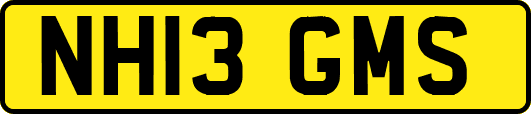 NH13GMS