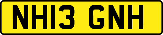 NH13GNH