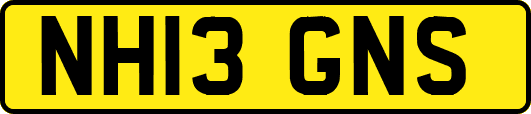 NH13GNS