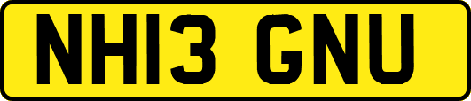 NH13GNU