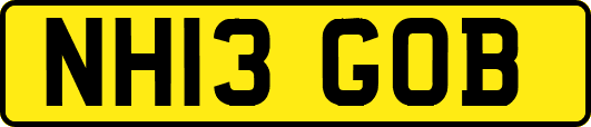 NH13GOB