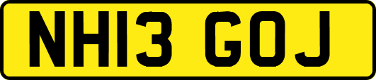 NH13GOJ