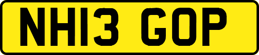 NH13GOP